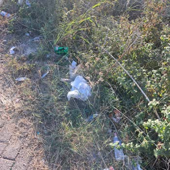 Haftalık Çevre Temizliği Talebi