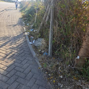 Haftalık Çevre Temizliği Talebi