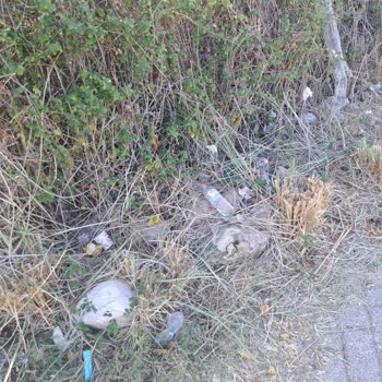 Haftalık Çevre Temizliği Talebi