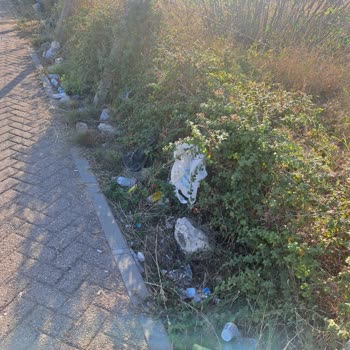 Haftalık Çevre Temizliği Talebi