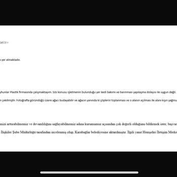 Sokak Kedileri İçin Korunaklı Alan Talebi Cevapsız Kaldı