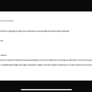 Sokak Kedileri İçin Korunaklı Alan Talebi Cevapsız Kaldı