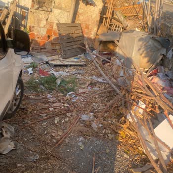 Sokak Kedileri İçin Korunaklı Alan Talebi Cevapsız Kaldı