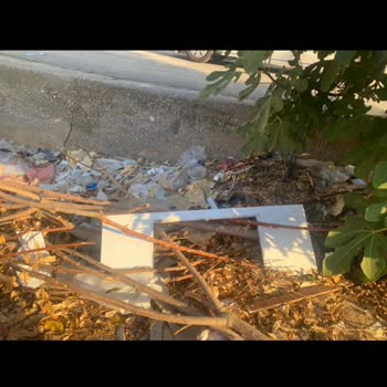 Sokak Kedileri İçin Korunaklı Alan Talebi Cevapsız Kaldı