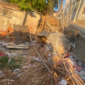 Sokak Kedileri İçin Korunaklı Alan Talebi Cevapsız Kaldı