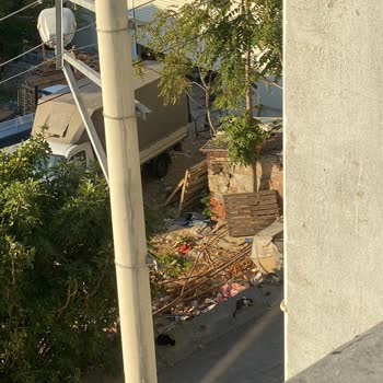 Sokak Kedileri İçin Korunaklı Alan Talebi Cevapsız Kaldı