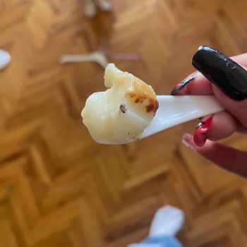 Kazandibi Tatlısında Böcek Şoku