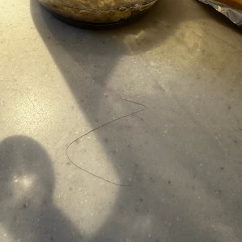 Eti Gıda Hijyen Sorunu: Yulaf Ezmesinde Saç Çıkması!