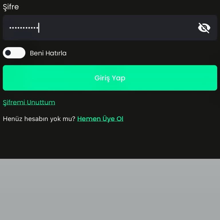 Bitay Hesabına Erişim Sorunu Ve Müşteri Hizmetleri Eksikliği