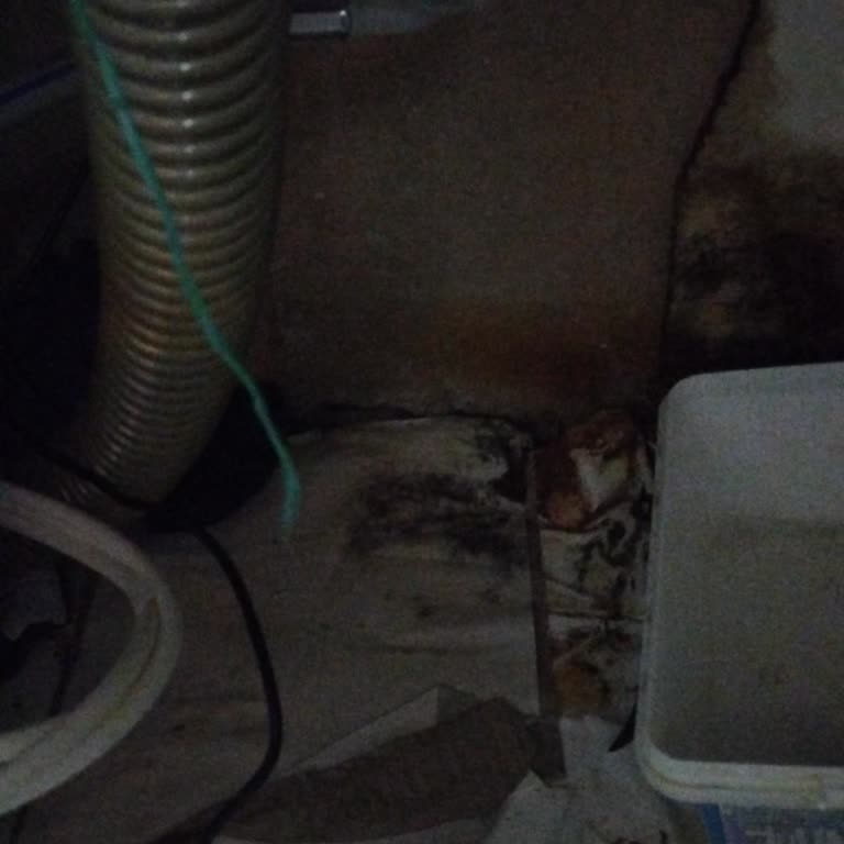 Sigorta Süresi Dışında Kalan Hasar Şoku