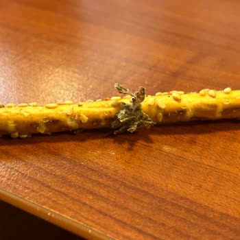 Ülker Susamlı Çubuk Krakerde Şüpheli Madde