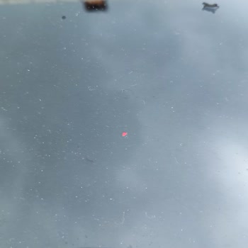 Citroen Siyah Tavan Boya Sorunu Ve Fabrikasyon Hata İddiası