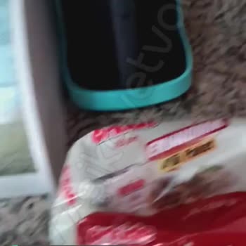 Orkide Margarin Küflü Çıktı
