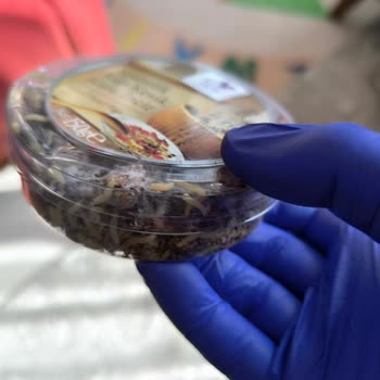 TARİŞ İncir Paketinde Kurtlanma Şoku