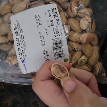 Aldığım Fıstıklar Kurtlandı Ve Kelebeklendi