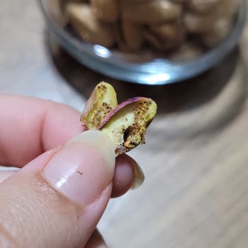 Aldığım Fıstıklar Kurtlandı Ve Kelebeklendi