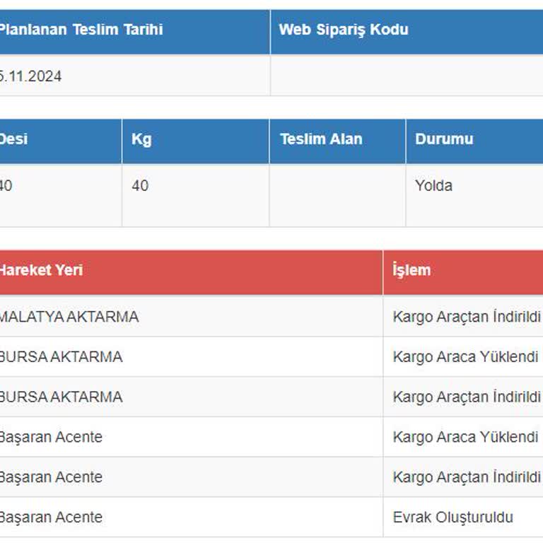 Büyük Kargo Kaybı: Sürat Kargo'nun Teslimat Sorunu