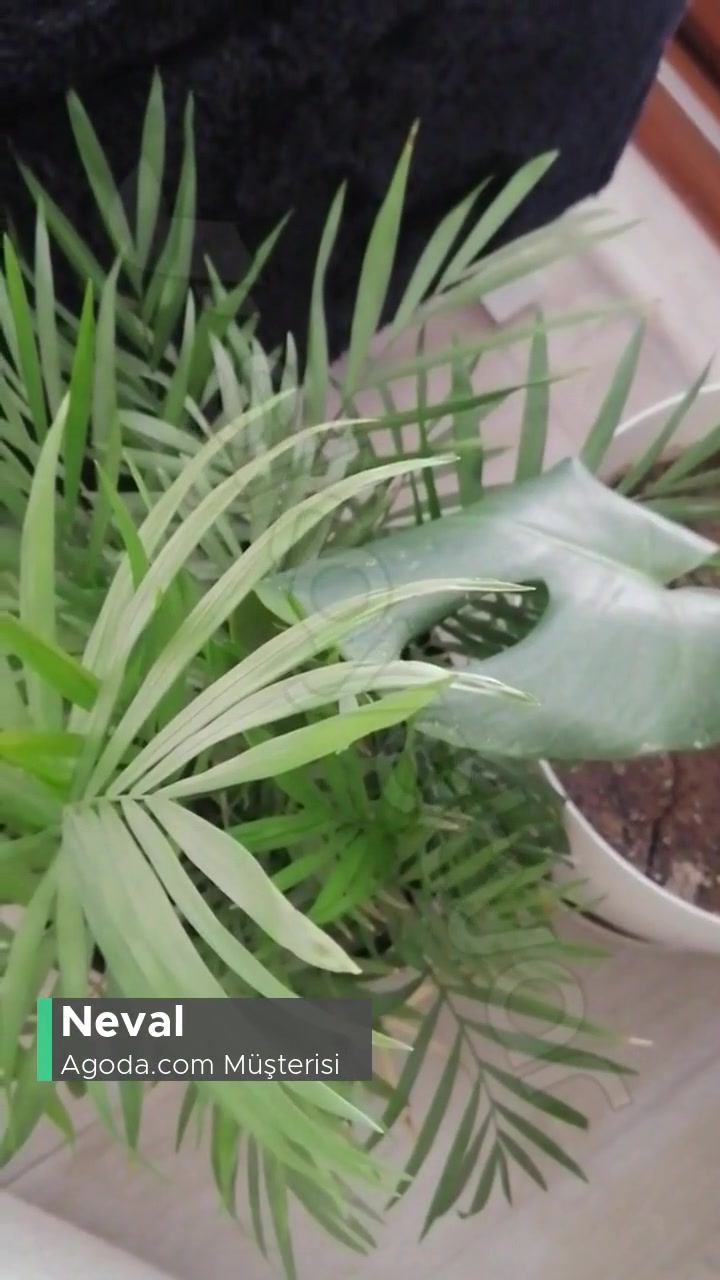 Agoda.com 1 Gecelik Konaklama Yapmadığım Otelin Ücret İadesi videonun kapak resmi