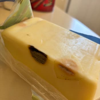 Bozuk Kaşar Peyniri İle Sağlık Riski