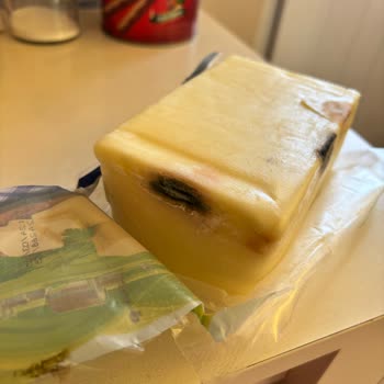 Bozuk Kaşar Peyniri İle Sağlık Riski