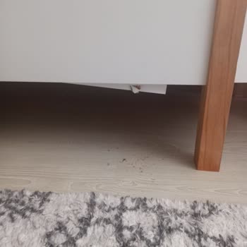 Mobilya Teslimatı Ve Kurulumunda Sorunlar