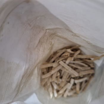 Burbella Küflü Glutensiz Erişte Ve İletişim Sorunu