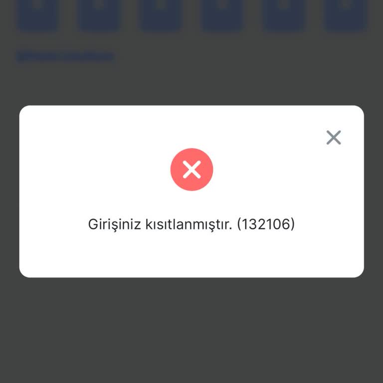 Hesap Kısıtlaması Ve Ulaşılamayan Destek Hattı