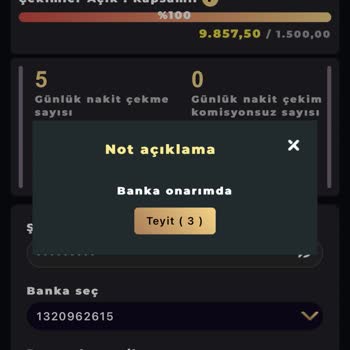 Talihli Saray Bahis Kazandığım Parayı Çekemiyorum Ve Hesabıma Giriş Yapamıyorum!