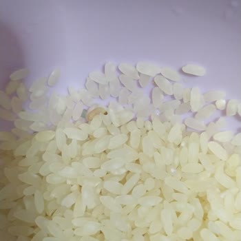 Duru Pirinçte Beklenmedik Sorun