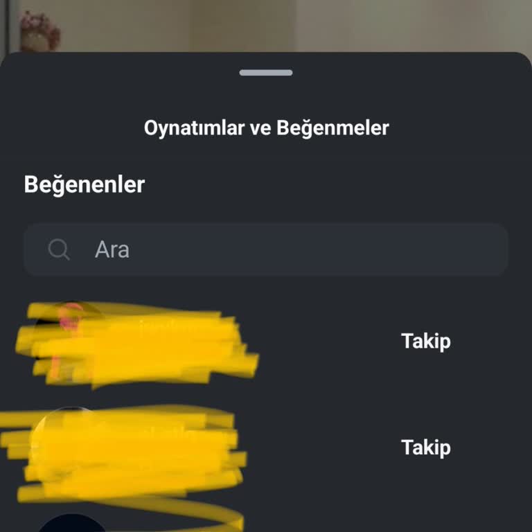 Instagram Beğeni Görüntüleme Sorunu