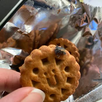 Ülker Probis Ürününde Şok Edici Yabancı Cisim!