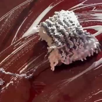 Kalitesiz Ürünler Ve Yetersiz Müşteri Hizmeti