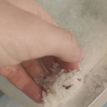 A101'den Aldığım Pilavda Kurt Şoku!