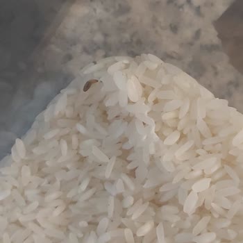 A101'den Aldığım Pilavda Kurt Şoku!