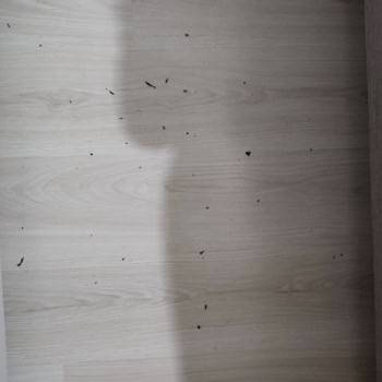 Addax Eşofmanlarının Kalitesizliği Ve Müşteri Memnuniyetsizliği