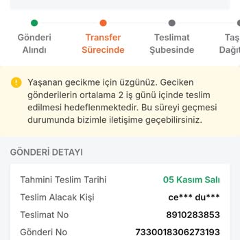 Kargo Teslimatında Yaşanan Gecikmeler