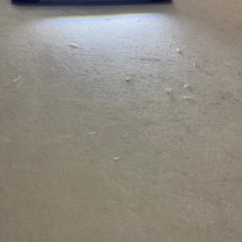 Esmer Halı'dan Alınan Halının Kalite Sorunları Ve Müşteri Hizmetleri