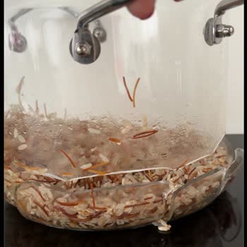 Karaca Cam Tencere Patladı: Müşteri Hizmetleri Cevap Vermiyor