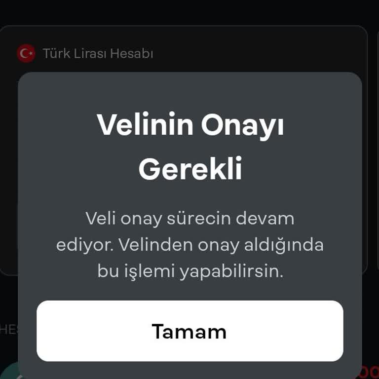 Papara Yanlış T. C. Kimlik Numarası Sorunu: Hesap Açılışında Tıkanıklık