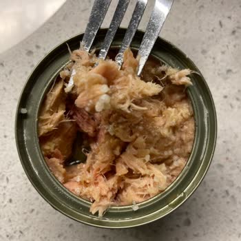 Zeytinyağlı Ton Balığında Şaşırtan Sürpriz: Balık Yumurtası!