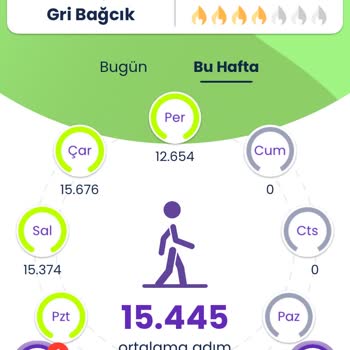 Adım Takibi Ve Güncellemelerde Büyük Sorunlar