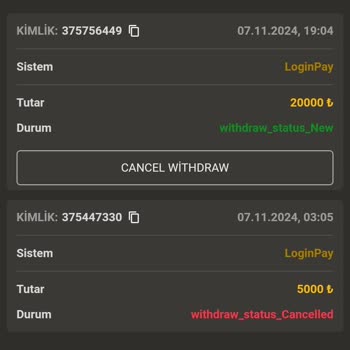 Yatırım Bonusunun Eksikliği Ve Geciken Ödeme Süreci