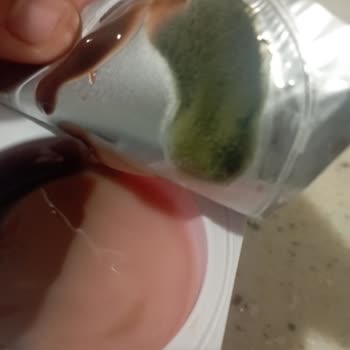 Sütaş Pudingde Küf Sorunu Ve Sağlık Endişesi!