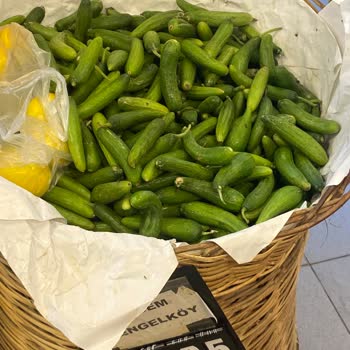 Fahiş Fiyatlarla Karşılaşma