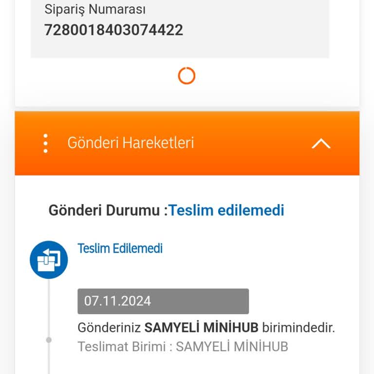 MNG Kargo Teslimat Sorunu Ve Stresli Bekleyiş