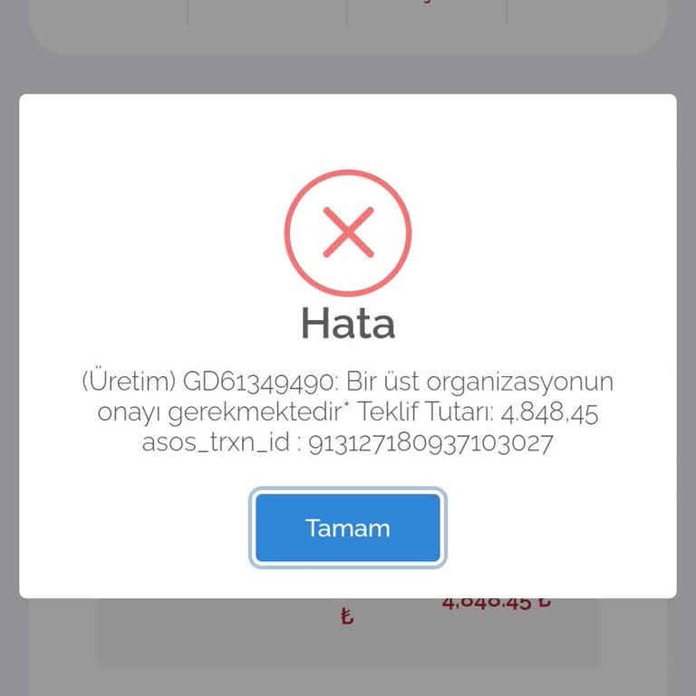 Ödeme Sayfasında Sürekli Hata