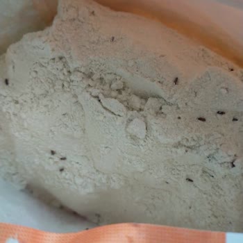 Böcekli Un Paketinin Hayal Kırıklığı