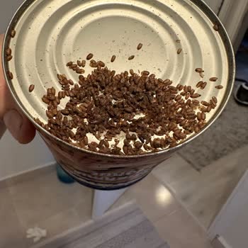 Böcekli Ürün Skandalı: Zincir Marketin Sorumluluğu Nerede?