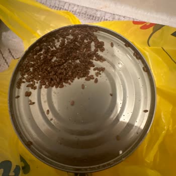 Böcekli Ürün Skandalı: Zincir Marketin Sorumluluğu Nerede?