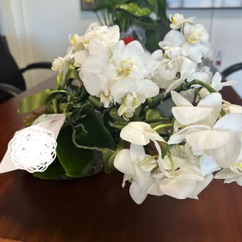 Osevio.com Yanıltıcı Çiçek Teslimatı: Hayal Kırıklığı Ve Mahcubiyet